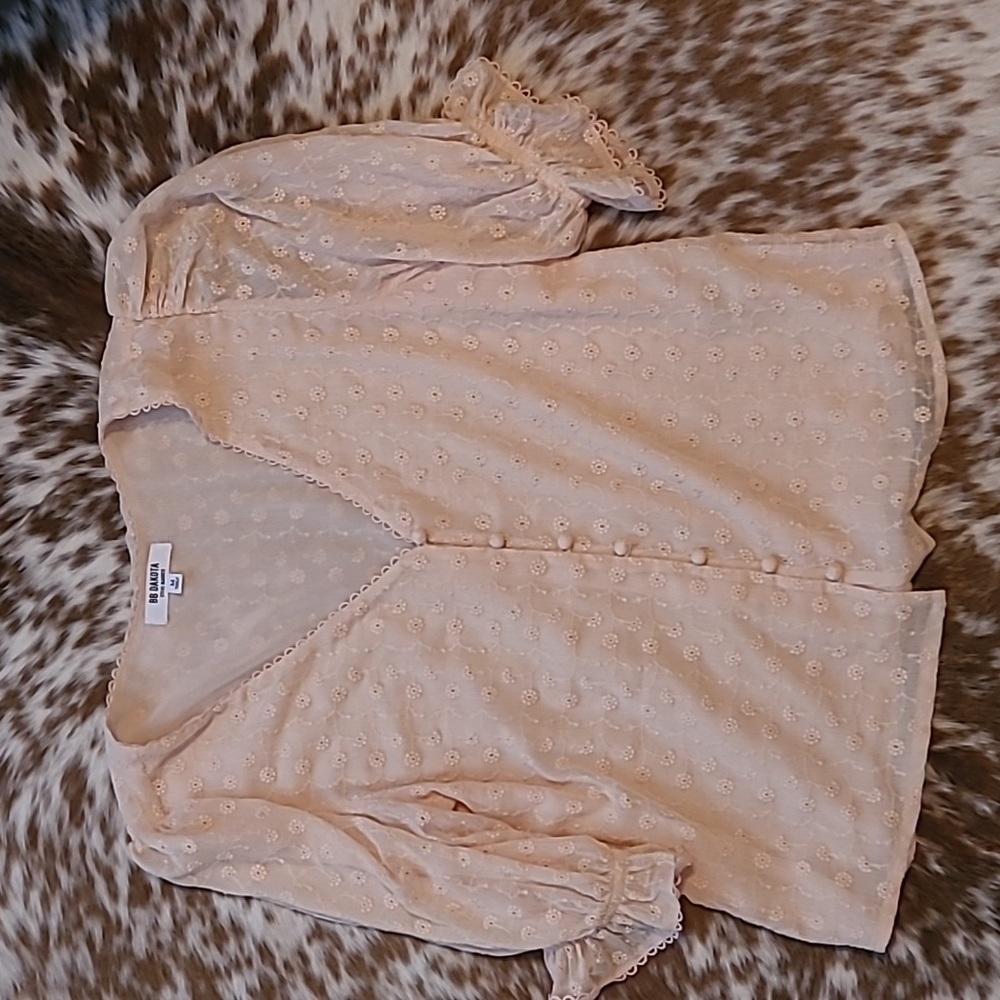 BB Dakota blouse (peach)